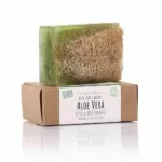 Aloe Vera Soap with Natural Fiber, Hand Made Soap, Dionesse