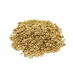Coriander Seeds, Turkish