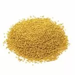 Mustard Seed