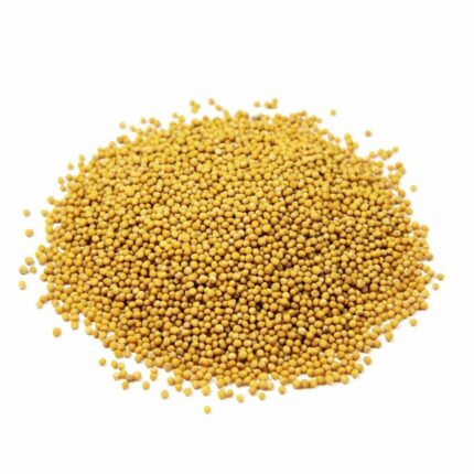 Mustard Seed - 500G