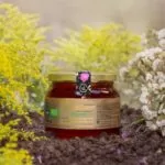 Natural Carob Blossom Honey, 450G
