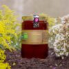 Natural Carob Blossom Honey 850G