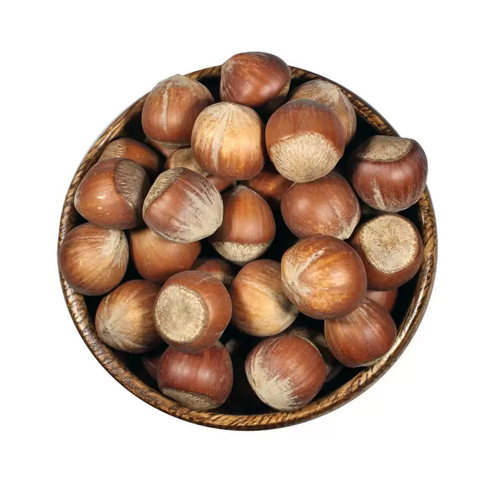 Unshelled-Turkish-Hazelnut-Natural.jpg Shelled Turkish Hazelnut, Natural - Image 1